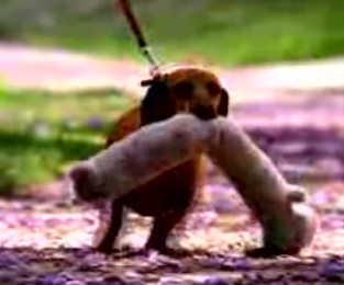 A Little Cute Goes A Loooooong Way